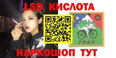 прущие крисы Кингисепп