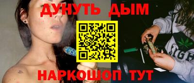 прущие крисы Кингисепп