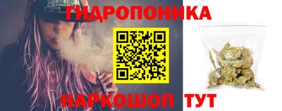 прущие крисы Кингисепп