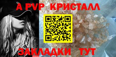 прущие крисы Кингисепп