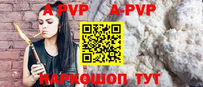 прущие крисы Кингисепп