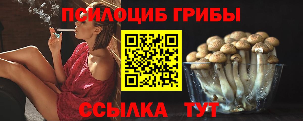 Крымск  Псилоцибиновые грибы Cubensis  закладки  Вход с VPN 